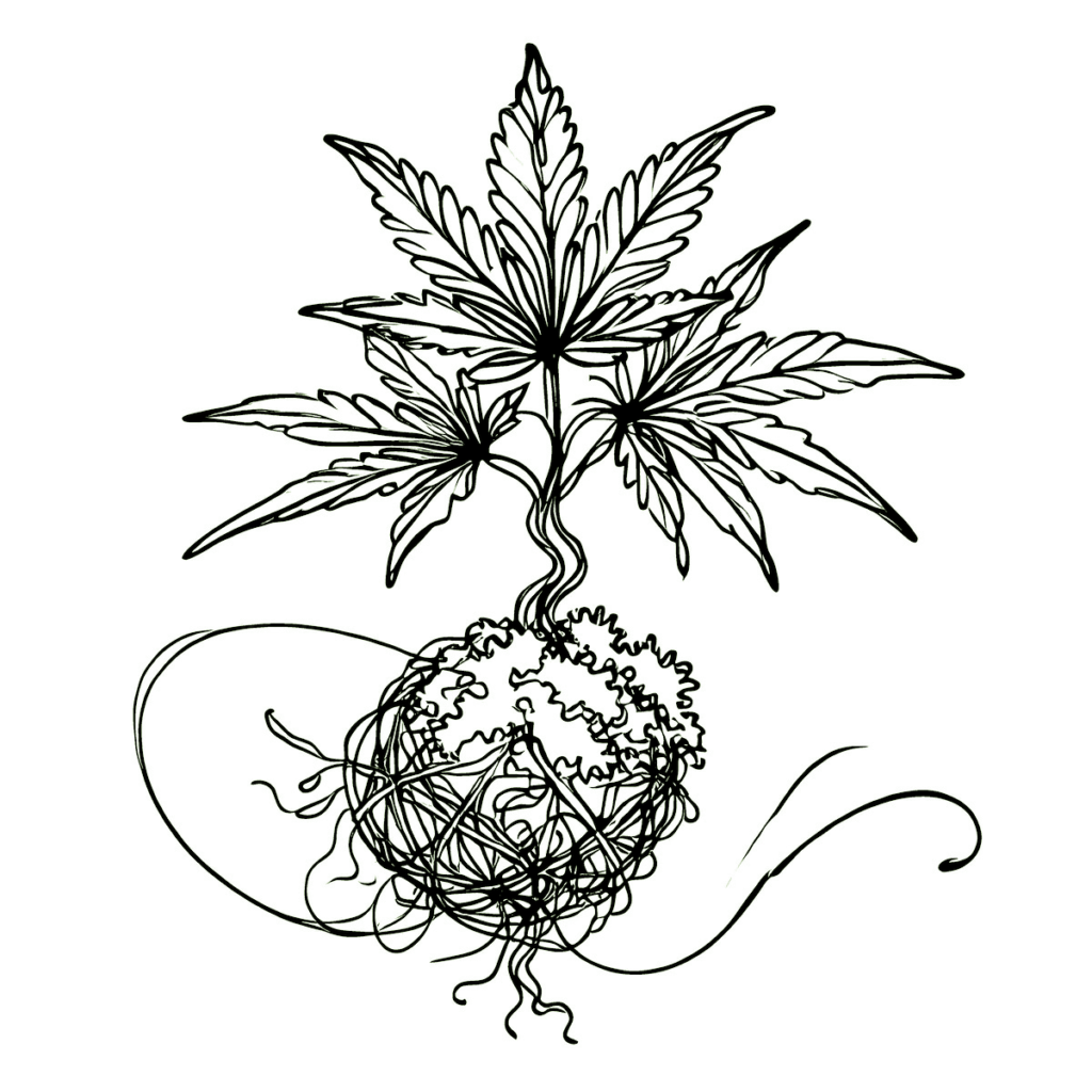 Cannabis Plant: VADEMECUM by MOICANNA – Contact Us