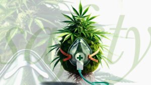 Grow smart, stay safe