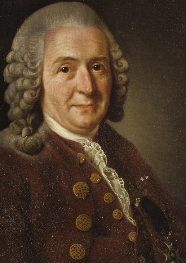 Carl Linnaeus — The Cultivated Name