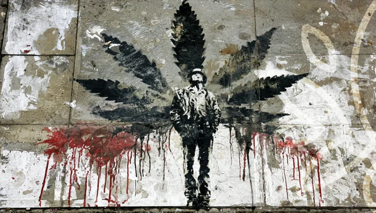 Cannabis plant behind prison bars transforming into a corporate boardroom and licence documents