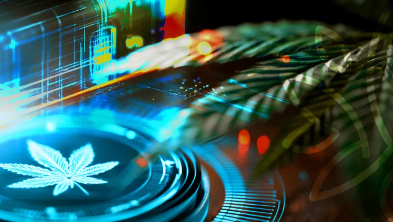 Cannabis grow-room sensors measuring temperature, humidity and VPD across different canopy microclimates