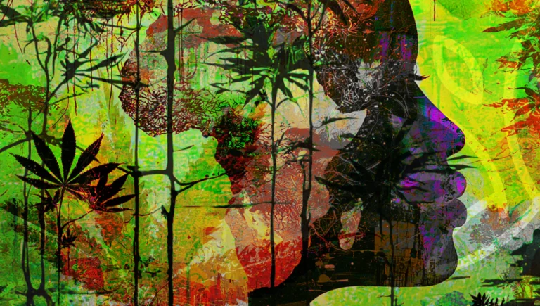 African cannabis field, mining imagery, export containers, co-operative farmers and licences
